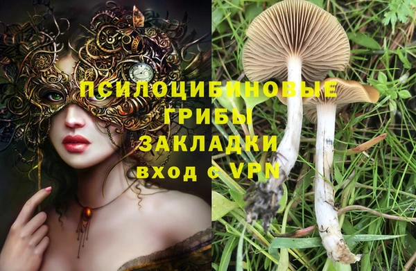 герыч Алзамай