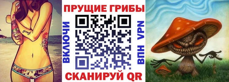 Псилоцибиновые грибы Cubensis  ОМГ ОМГ маркетплейс  Алексеевка 